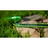 Kép 2/4 - CELLFAST green ats 5 rétegű locsolótömlő 3/4" 50m 2